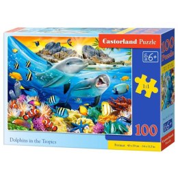 Puzzle 100 dolphins in tropics