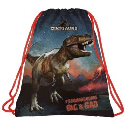 Worek szkolny na obuwie Dinozaur plecak powójne sznurki