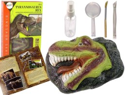 ZESTAW FIGURKI EDUKACYJNY WYKOPALISKA DINOZAUR TYRANOZAUR