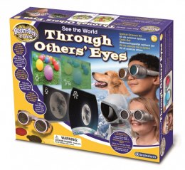 Okulary Brainstorm Zobacz świat oczami innych