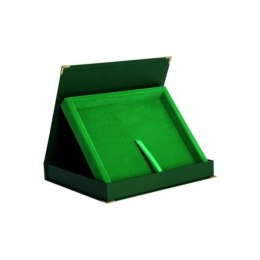 Etui z tworzywa sztucznego poziome w kolorze zielonym - na deskę 250x200