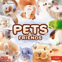 Gra Pets & Friends Zwierzątka