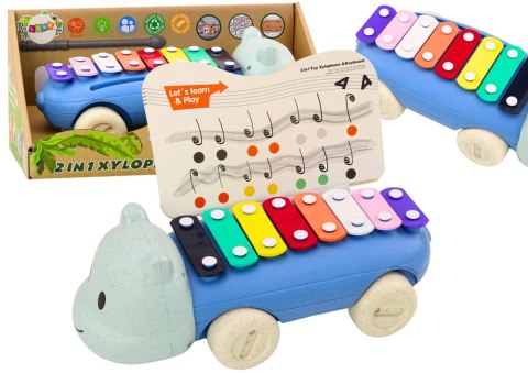 Cymbałki Hipopotam Na Kółkach Instrument Dla Dzieci Kolorowe Edukacyjne