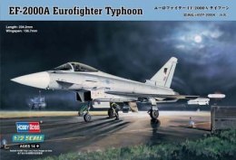 MODEL EF-2000 Eurofighter Typhoon